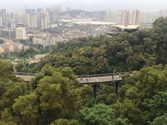 -金鸡山公园