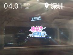 -深圳坪山站
