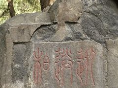 -泰山风景名胜区-普照寺