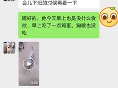 -睿金宠物医院·CT·肿瘤·骨外科