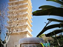 -顺城金记卤鸡·清真