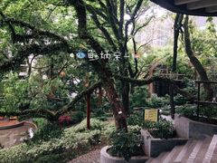 -香港大学