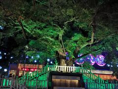 -水围村