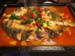 草鱼-炉鱼(诸暨万风新天地店)