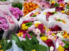 -循礼门鲜花花市(武汉循礼门店)