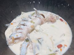 -鲜潭蒸汽石锅鱼(五道口购物中心店)
