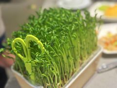 -海底捞火锅(王府井银泰in88店)