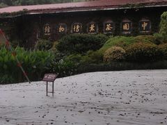 -中国茶叶博物馆(双峰馆区)