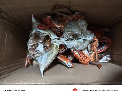 -南戴河海滨市场