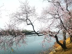 -颐和园