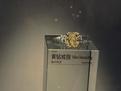 -中国地质博物馆