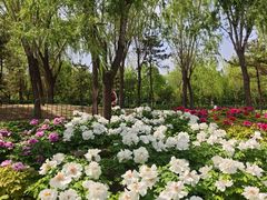 -太阳宫公园