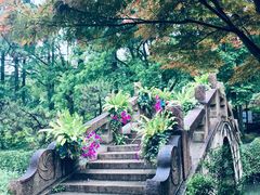 -上海醉白池公园