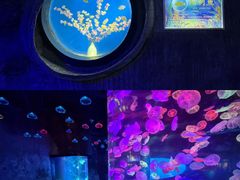 -合肥海洋世界