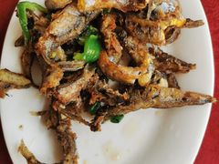 -蛇口康乐快餐鱼仔档(翠苑小区店)