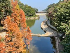 -广州市帽峰山景区