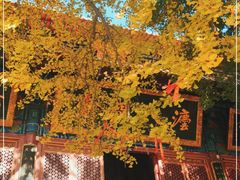 -宝通禅寺