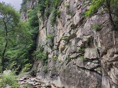 -青峰峡国家森林公园