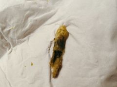 -耳湾躺式采耳SPA馆(保利五月花店)