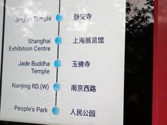 -BUS TOUR观光巴士