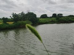 -乡乐园蟹庄·阳澄湖农家乐