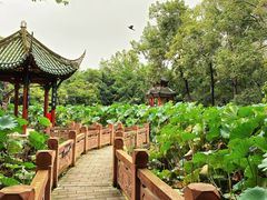 -房湖公园