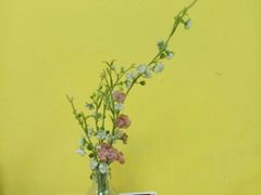 -志龙皇冠吃货椰子铺