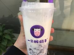 -一只酸奶牛(八一路店)