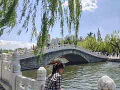 -莱西月湖公园