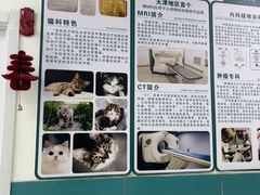 -乖乖宠物医院·猫科·急重症中心(车站北路分院)