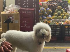 -四姑娘川味海鲜(八爪鱼店)