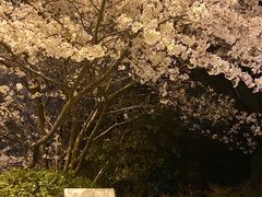-玉山公园
