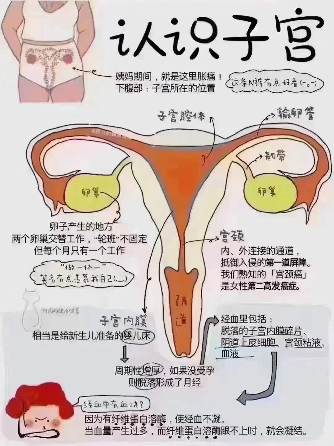 女人私密部位毛多又黑图片