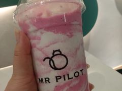 -飞行喵MR PILOT|猫舍·猫咖(静安大融城店)