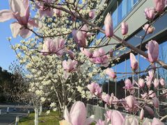 -浦江镇(地铁站)