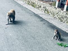 -黔灵山公园