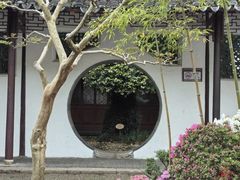 -上海醉白池公园