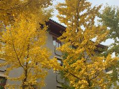 -中国中医科学院西苑医院(本部)