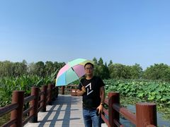 -长兴太湖图影湿地文化园