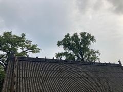 -金堂县云顶石城风景区