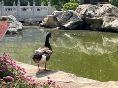 -宣武艺园