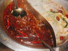 -辣伍鲜毛肚老火锅(元一店)