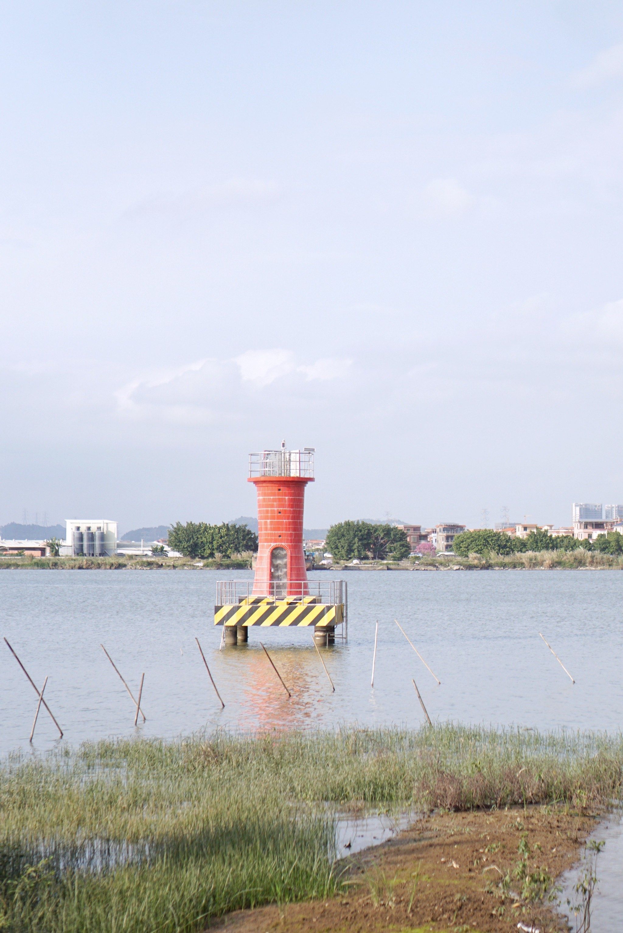 广州小众景点番禺观龙岛