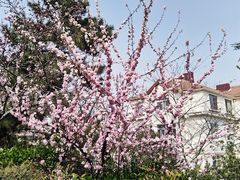 -贮水山儿童公园