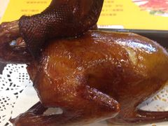 -南粤光明乳鸽(金钟店)