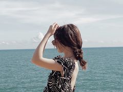 -广东惠东海龟国家级自然保护区