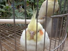 -南宫五洲植物乐园