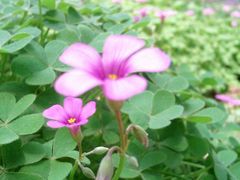 外景-河南省黄河迎宾馆