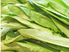 油麦菜-刁四藤椒麻辣烫(良村开发区店)