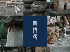 -四门塔风景区